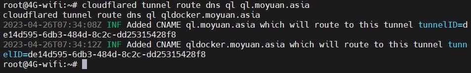 给隧道分配域名